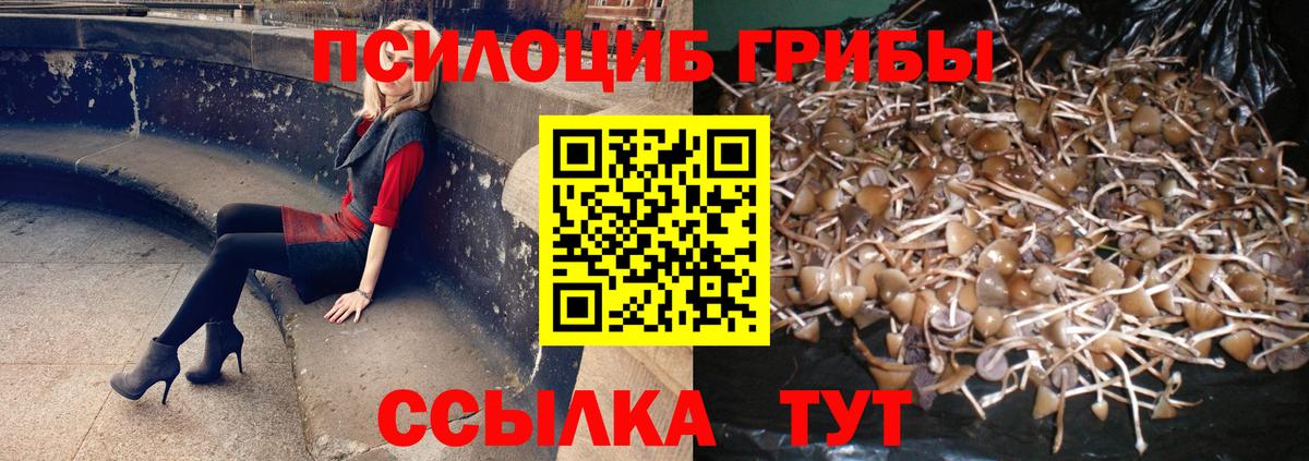 Героин Ачхой-Мартан
